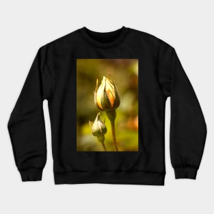 Yellow Rose Bud Crewneck Sweatshirt